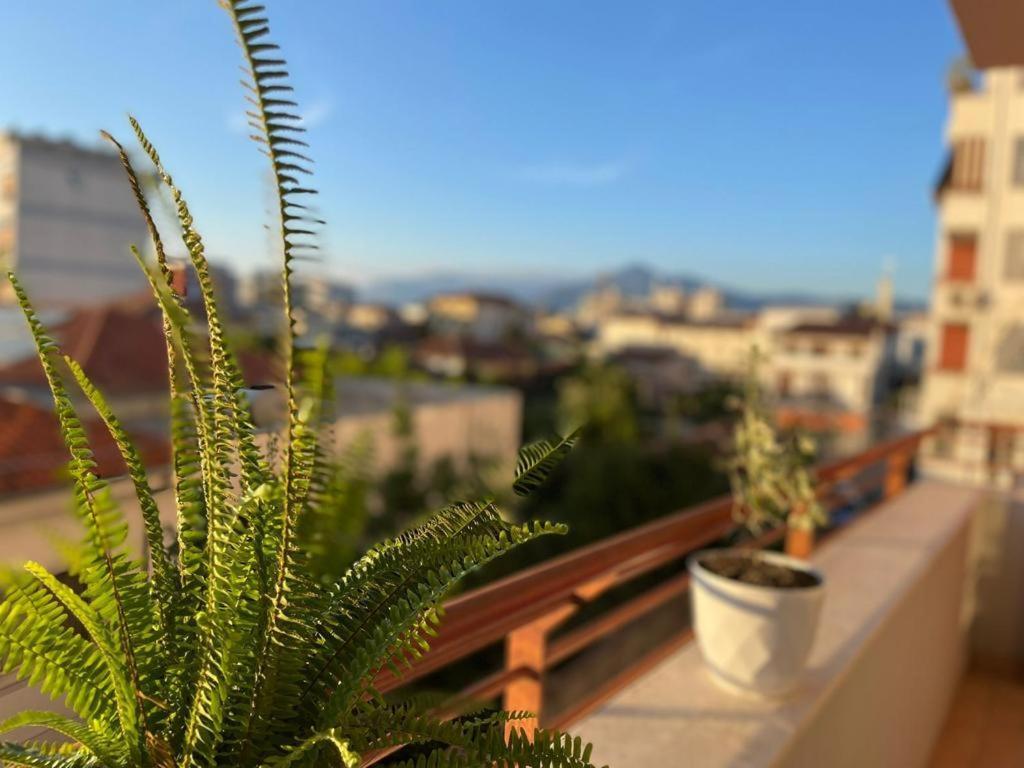 Premium Apartments شكودر المظهر الخارجي الصورة